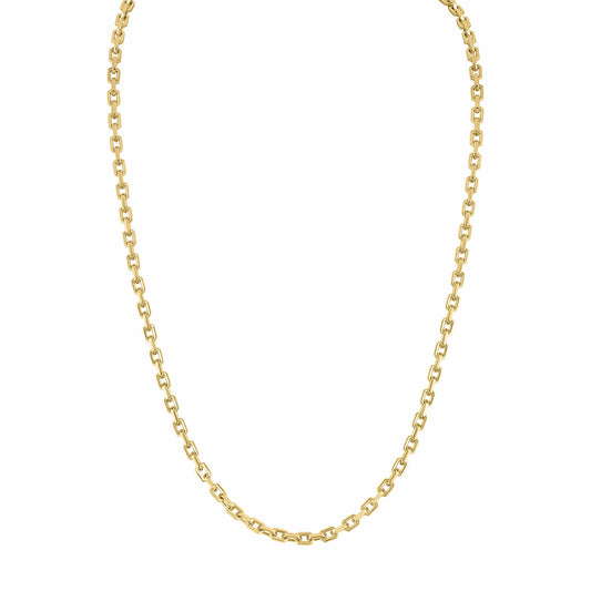 Icon Hexagon Cable Chain Necklace - Bulova Special Offer